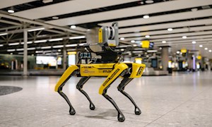 How robotic animals are adding a new dimension to project sites